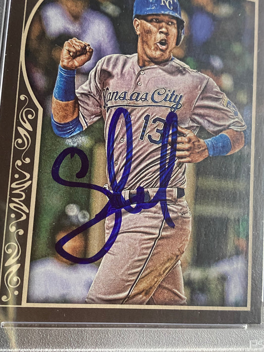 Salvador (Salvy) Perez signed trading card PSA/DNA certified Authentic AUTO